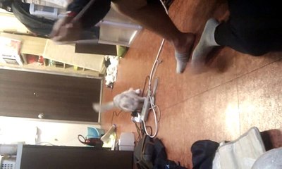 2010 12 19 15 52 36
