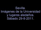 Sevilla  Universidad y imágenes de lugares aledaños  29 8 2011