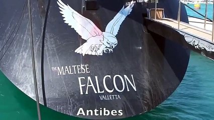 Maltese Falcon