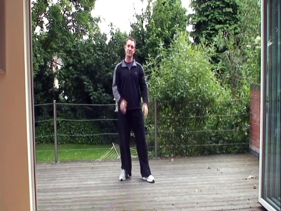 Yang Taiji 24 - Play Guitar - Posture 5