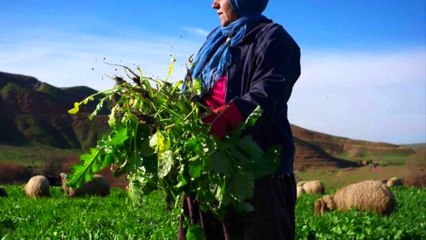 أغنيه للشهيد  كلمات: آشتي ألحان وغناء: طالب غالي