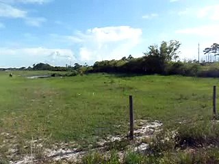102 SUNBURST ROAD, VENUS FLORIDA 10+ ACRES FARM FOR RENT/LEASE/SALE