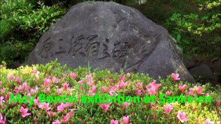 May Bonsai Exhibition at Sankeien - 28 May 2012 - 三溪園(横浜）