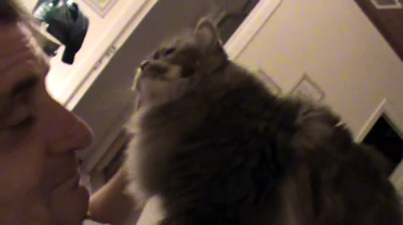 2013 December 24 - Anna Maria - Texie loving dad