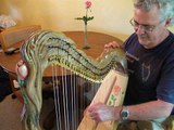 Custom 29 nylon strung harp, sculpted and inset with gem stones and painted carving.
