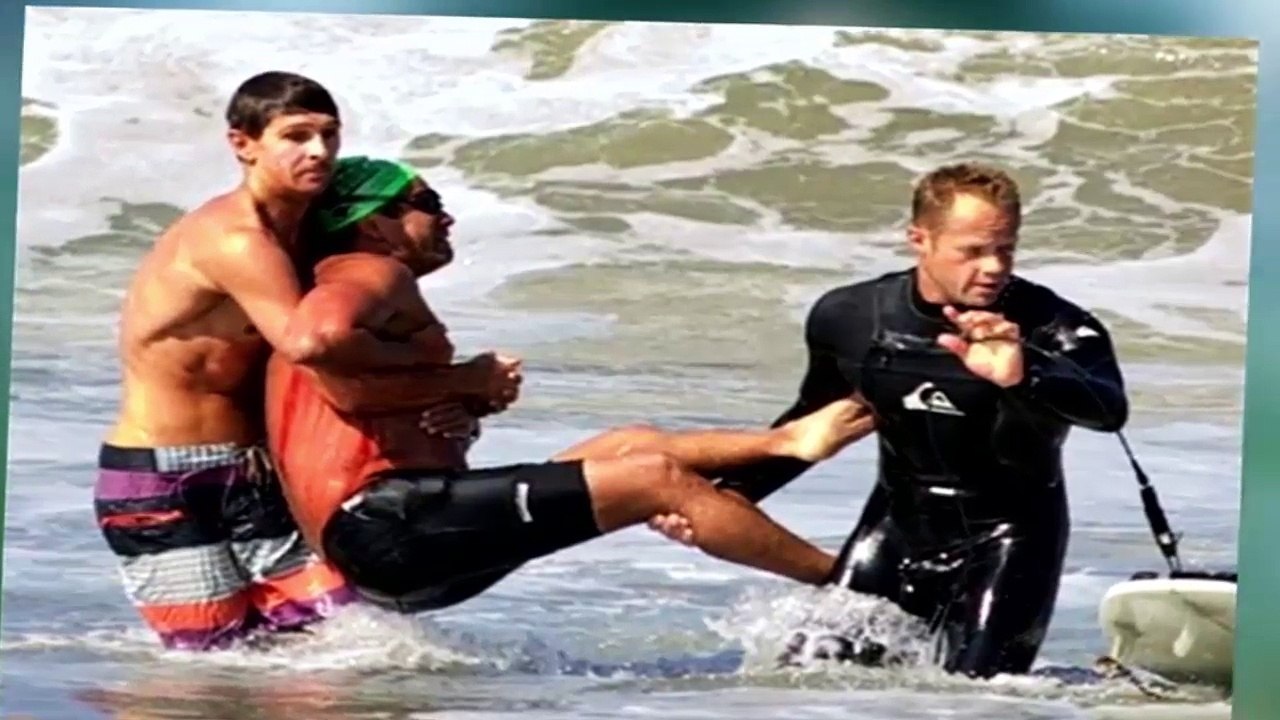 CES ANIMAUX QUI ONT SAUVE LES HUMAINS DE LA MORT