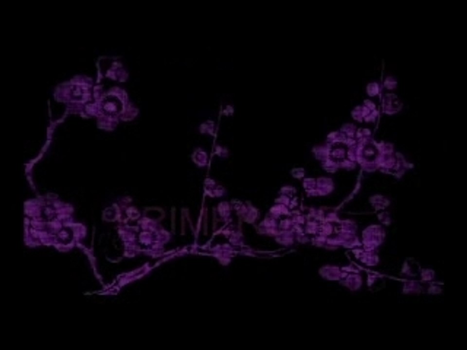 Lafont et Paris, toute une histoire
