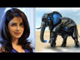 Priyanka Chopra Lends Voice To PETA's Robotic Elephant 'Ellie'