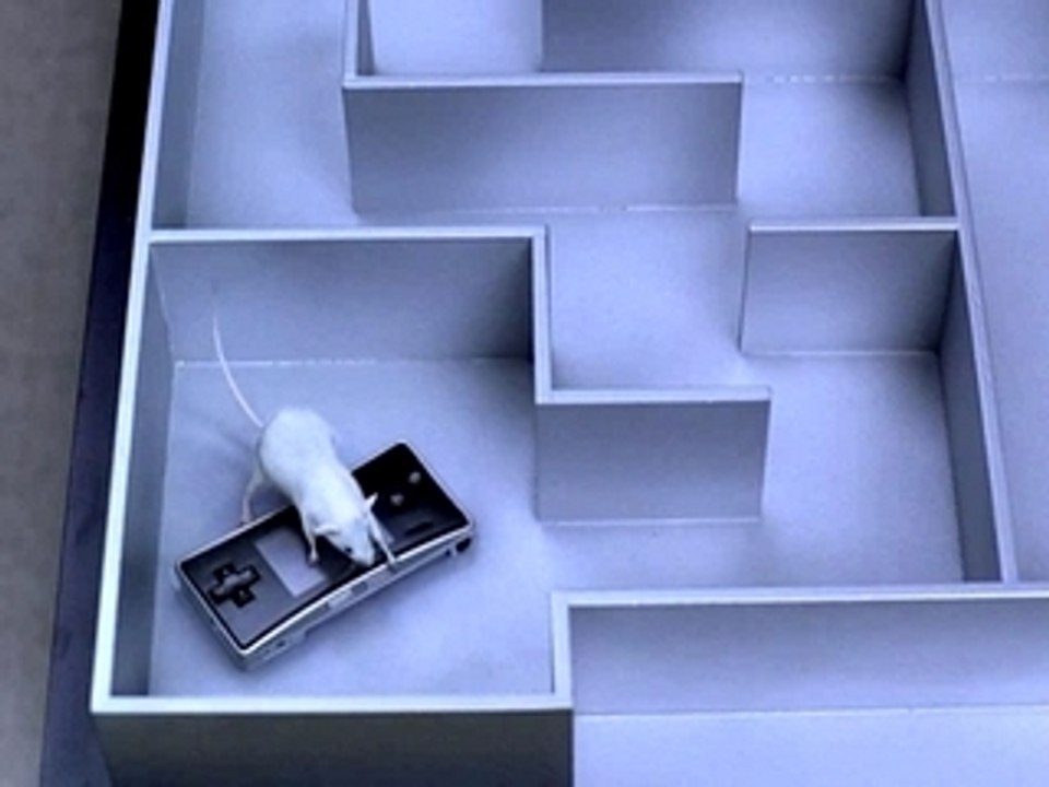 Pub Game Boy Micro !