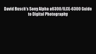 Read David Busch's Sony Alpha a6300/ILCE-6300 Guide to Digital Photography PDF Online
