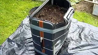 My Veg Garden 2010 - 15 Suitcase Potato Reveal