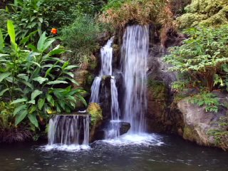 Aperture Shutter Speed and ISO, Photography