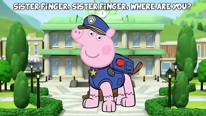 Peppa Pig & Paw Patrol Finger Family   Fancy Dress Animation Nursery Rhyme Song