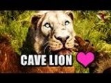 Far Cry Primal | Taming a CAVE LION - How to Tame Beasts (Best Beasts in Far Cry Primal)