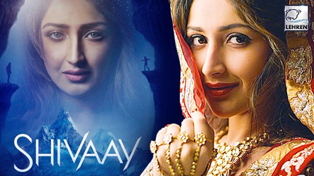 Sayyeshaa's First Look In Ajay Devgn's 'Shivaay'