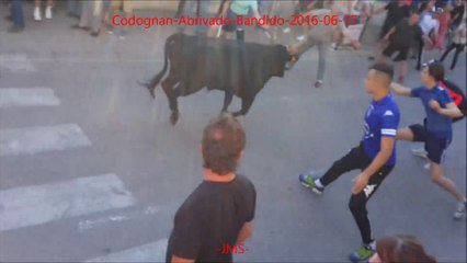 Codognan-Abrivado-Bandido-fete votive-2016/06/17