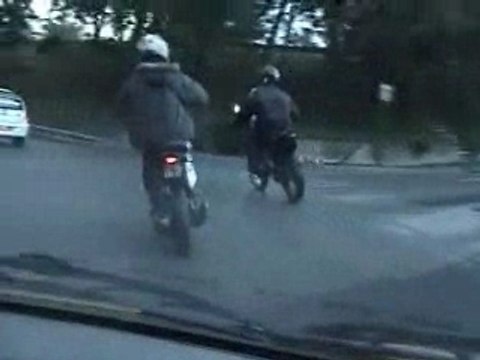 Ludix kité polini evo 70