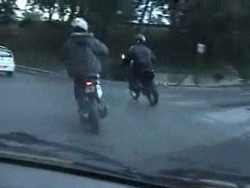 Ludix kité polini evo 70