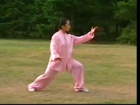 24 формы тайцзицюань