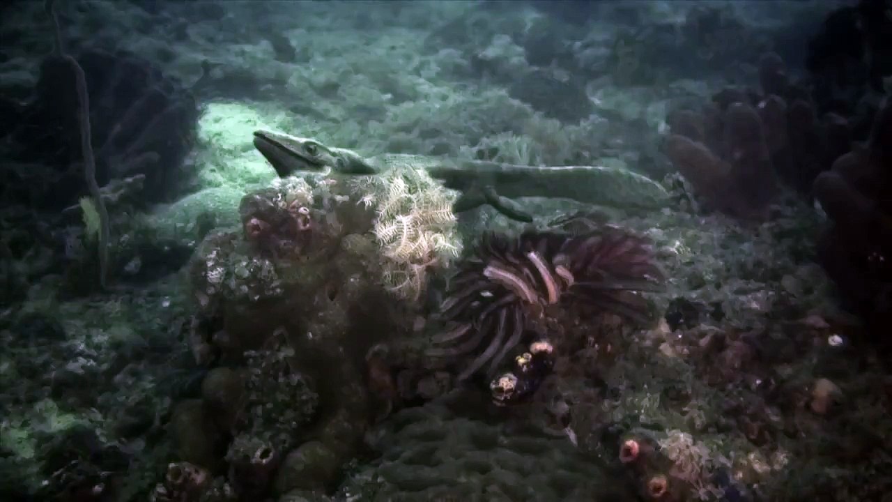 Dinosaurs UNDERWATER