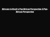 Download Book Africans in Brazil a Pan African Perspective: A Pan-African Perspective E-Book