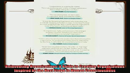 behold  Reinventing Organizations A Guide to Creating Organizations Inspired by the Next Stage in