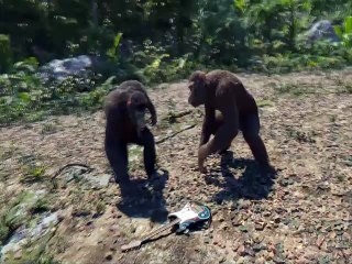 Coldplay / Stromae - Adventure of Papatime (Rems79 Mashup)