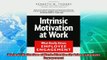there is  Intrinsic Motivation at Work What Really Drives Employee Engagement