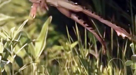 Yeryüzünde Tuhaf Günler Belgeseli | 2. Bölüm