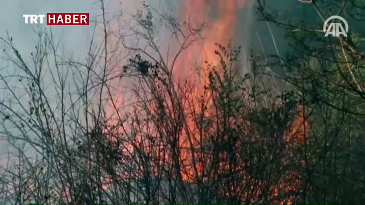 Antalya'da orman yangını