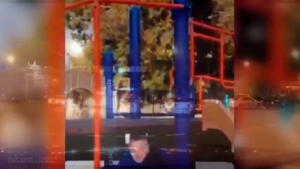Улетное Видео Приколы Ржач 2018