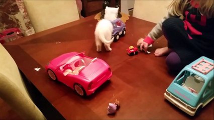 Cutest kitty driving Barbie van off the table fall