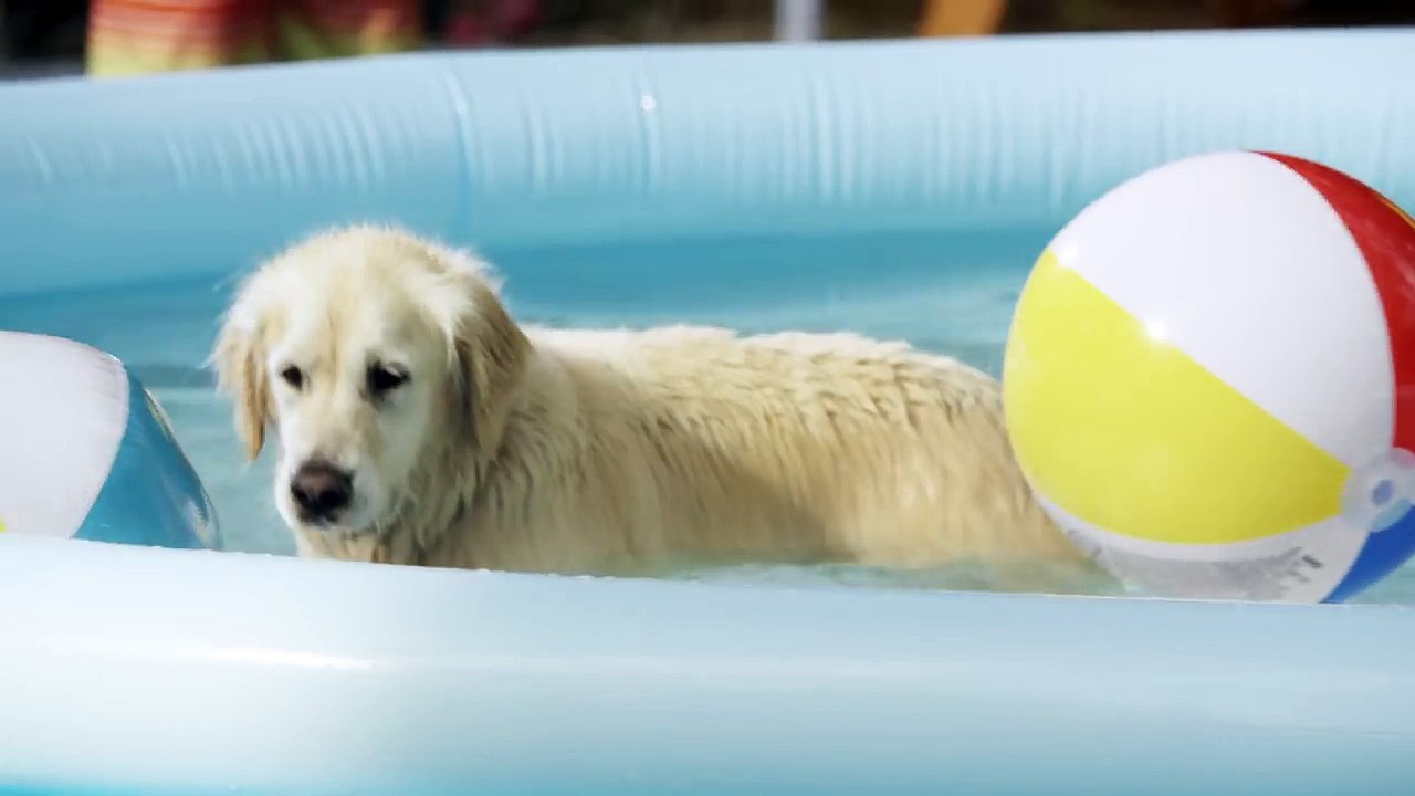 Toys”R”Us | Awesome Outside Pools! | Awesome Outside 2