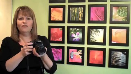 Silhouettes & Shadows - Photography