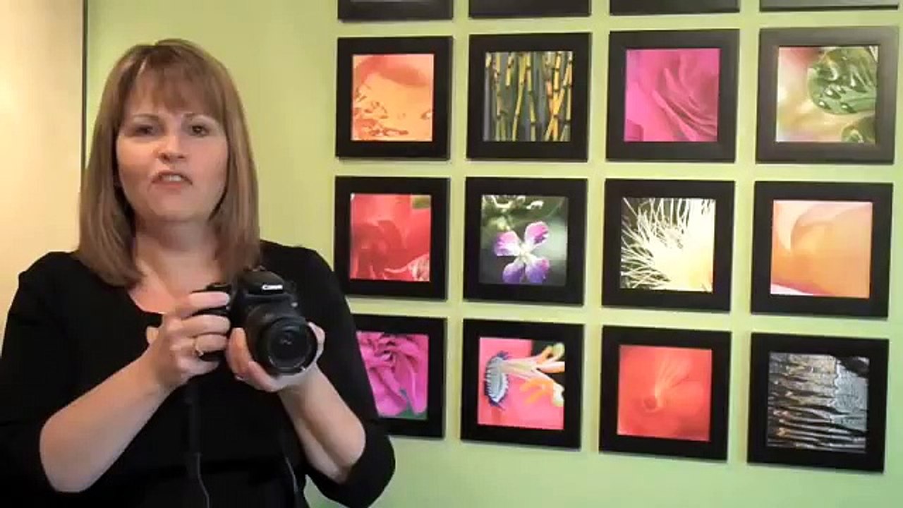 Silhouettes & Shadows - Photography