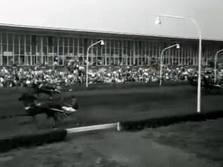 Draverijen in Hilversum 23 augustus 1959