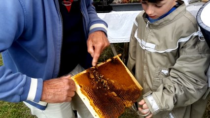 Open dag imkersvereniging Haarlemmermeer
