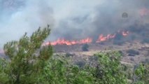 Bodrum'da Makilik Alanda Yangın