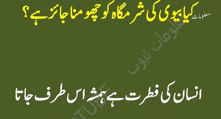 Kia Aurat ki sharmgah ko chumna jaiz hai ll کیا بیوی کی شرمگاہ کو چھومنا جائز ہے ؟_(640x360)