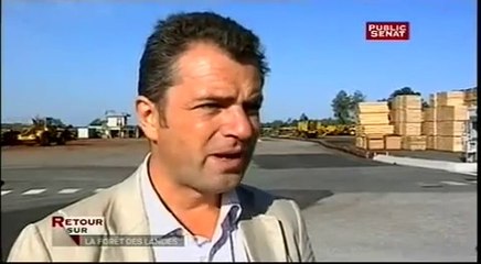 La forêt des Landes après la tempête