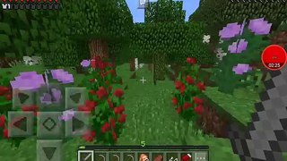 Minecraft Ep 4 : Lost