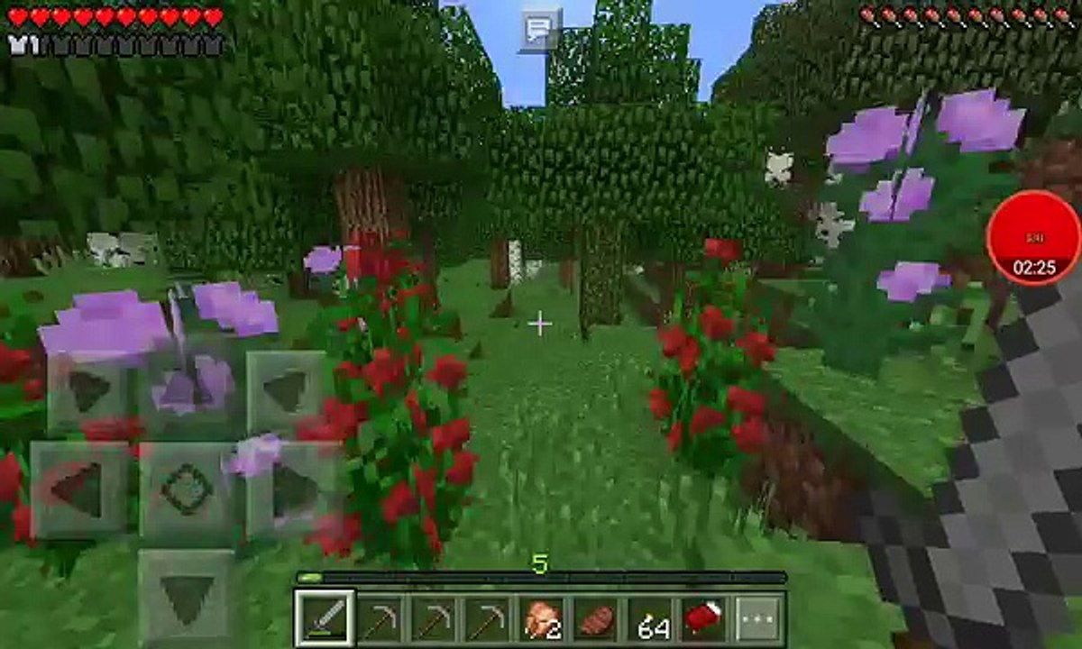 Minecraft Ep 4 : Lost