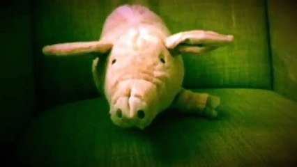 How to draw a pig and a flying pig