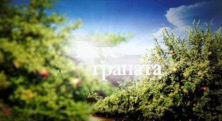 Вкус граната 1 серия | Сериал вкус граната смотреть онлайн 1 серия