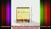 DOWNLOAD FREE Ebooks  Tulipomania  The Story of the Worlds Most Coveted Flower  the Extraordinary Passions It Full Ebook Online Free
