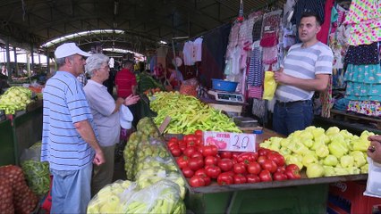 Tregu i gjelbër, çmime të lira, blerës nuk ka