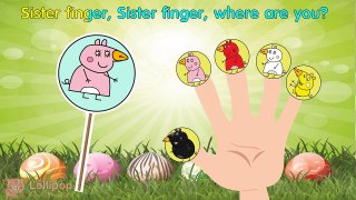 #Peppa Pig #Angry Birds #Lollipop #Finger Family \ #Nursery Rhymes Lyrics and More