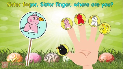 #Peppa Pig #Angry Birds #Lollipop #Finger Family \ #Nursery Rhymes Lyrics and More