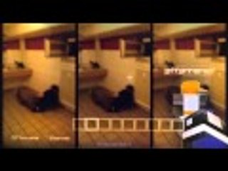 Minecraft PS3 - Lolz