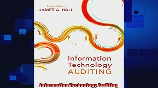 behold  Information Technology Auditing
